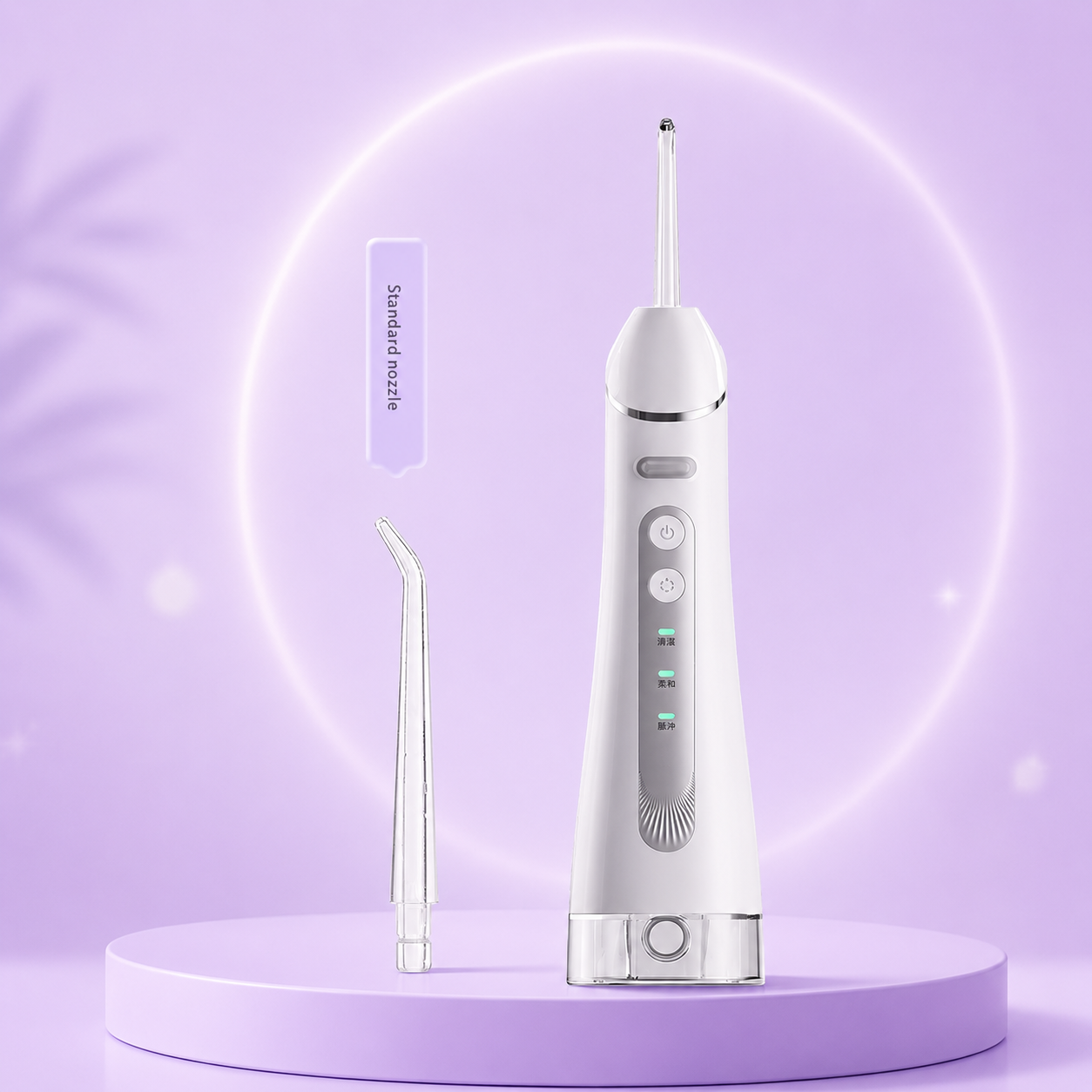Portable Electric Dental Water Flosser